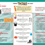 El Ayuntamiento actúa contra el mosquito tigre y pide colaboración ciudadana para acabar con la plaga.