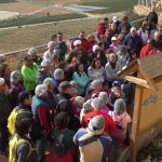 Éxito de participación en la Jornada de Puertas Abiertas en la Sima de las Palomas.