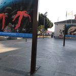 La Exposición “Cartagena, naturaleza sumergida”, se encuentra ubicada en la plaza del Ayuntamiento de Torre Pacheco.