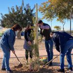 El Ayuntamiento de Torre Pacheco planta nuevos árboles en Roldán, cumpliendo así la propuesta aprobada por los jóvenes en los presupuestos participativos.